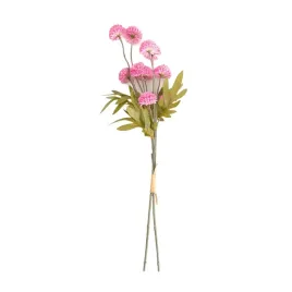 bukiet-kwiatow-marita-stokrotki-pelne-rozowe-52-cm-homla