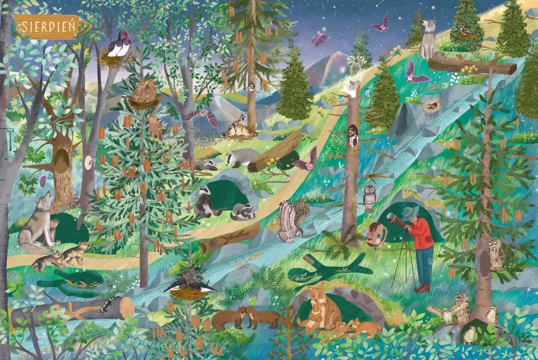 rok-w-gorach-stan-nowy