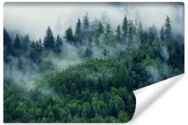 fototapeta-scienna-do-salonu-mgla-w-gorskim-lesie-pejzaz-3d-natura-450x300