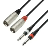 adam-hall-k3tmp0100-kabel-2x-xlr-m-2x-jack-m-1m