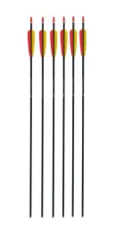 zestaw-6-strzal-z-aluminium-do-luku-strzaly-ostre