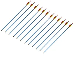 zestaw-12-strzal-do-luku-lucznictwo-ostre-groty-tarczowe-do-wkrecania-luk