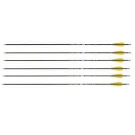 strzaly-karbonowe-do-luku-spin-1300-z-piorami-6x