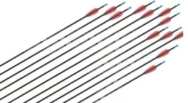 strzaly-do-luku-klasycznego-carbon-12x-zestaw-1300
