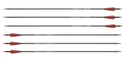 strzaly-zestaw-6sz-nxg30-spin-350-strzala-wlokno-wykrecane-groty-wkrecane