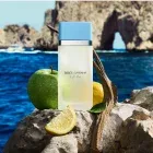 dolce-and-gabbana-light-blue-edt-100-ml