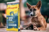 josera-5379-sensiplus-125kg-wiek-zwierzecia-psy-dorosle