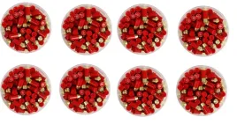 bardzo-mocny-srut-55-kaliber-do-wiatrowek-teflon