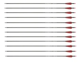 strzaly-12-sztuk-zestaw-strzal-nxg-spin-400-wlokno-weglowe-dlugosc-30