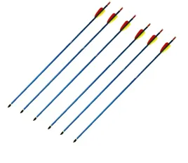 zestaw-strzal-6-sztuk-do-luku-wkrecane-groty-tarczowe-dlugosc-30-aluminium