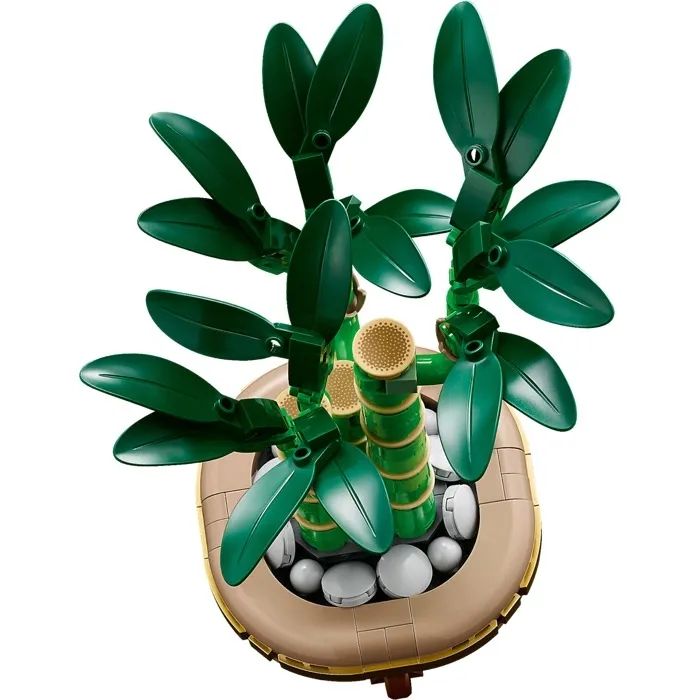 lego-botanicals-10344-dracena-sandera