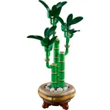 lego-botanicals-10344-dracena-sandera-certyfikaty-opinie-atesty-ce
