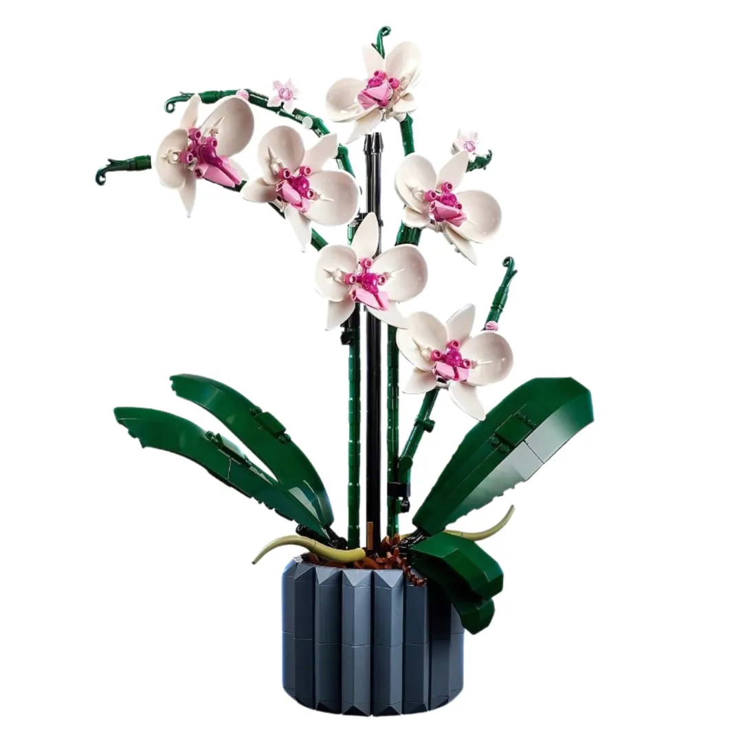 lego-icons-10311-orchidea-stan-nowy