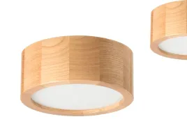 plafon-sufitowy-lampa-leja-fi200-dab-do-salonu-kuchni-lazienki-piekny