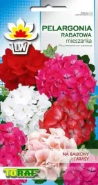 pelargonia-rabatowa-mix-kolorow-odmian-nasiona-na-balkony-tarasy