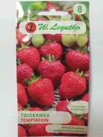 truskawka-zwisajaca-temptation-nasiona-truskawki-czerwona-plenna-slodka