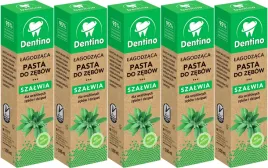 5x-pasta-do-zebow-lagodzaca-z-ekstraktem-z-szalwii-bez-fluoru-dentino-100ml
