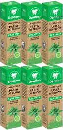 6x-pasta-do-zebow-z-ekstraktem-z-szalwii-bez-fluoru-dla-wrazliwych-zebow