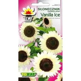 slonecznik-ogorkolistny-vanilla-ice-05g-zolto-brunatny-bardzo-dekoracyjny