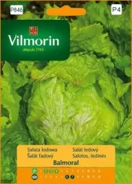 salata-krucha-balmoral-02g-wczesna-intens-wzrost