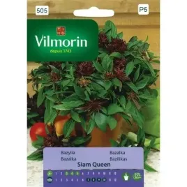 vilmorin-bazylia-tajska-siam-queen-05g-fioletowa-cynamonowo-anyzkowa