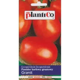 pomidor-granit-nasiona-karlowy-duze-owalne-owoc