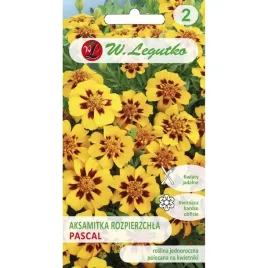 aksamitka-rozpierzchla-pascal-zolto-mochoniowo-brazowa-1g-legutko