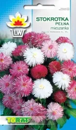 stokrotka-pelna-mnostwo-pelnych-kwiatkow-toraf-na-rabaty-i-kwiaty-ciete