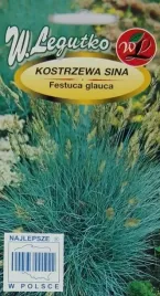 kostrzewa-niebieska-trawa-przez-caly-rok-020g