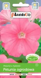 petunia-ogrodowa-rozowa-nasiona-plantico-0-05g
