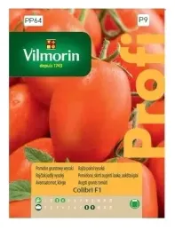 pomidor-gruntowy-wysoki-colibri-vilmorin-smaczny