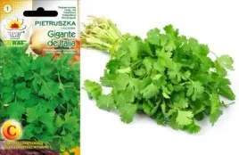 pietruszka-lisciowa-gigante-de-italia-toraf-2g