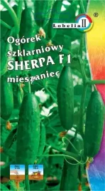 ogorek-szklarniowy-wczesny-sherpa-f1-nasiona-partenokarpia-typu-beth-alpha