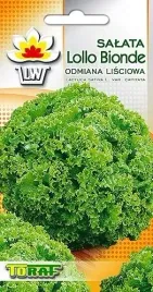 salata-lisciowa-lollo-bionda-wczesna-nasiona