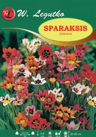 sparaksis-sparaxis-mieszanka-mix-10szt-l59