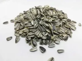 slonecznik-jadalny-paskowany-1kg-6000-nasion