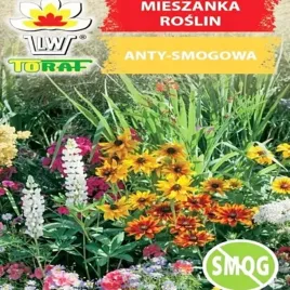 mieszanka-antysmogowa-nasiona-kwiatow-2g-mix-kwiatow-i-ziol