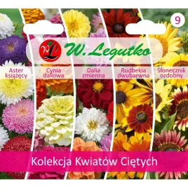 kolekcja-kwiatow-cietych-mix-cynia-aster-dalia-slonecznik-rudbekia