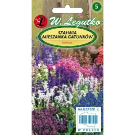 szalwia-mieszanka-gatunkow-jedno-i-wieloletnie