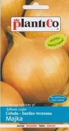 cebula-majka-nasiona-bardzo-wczesna-5g