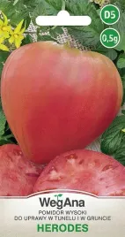 pomidor-herodes-bawole-serce-owoce-bardzo-duze-nasiona-pomidorow-05g