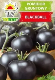 pomidor-blackball-czarny-pyszny-nasiona-03g-toraf
