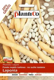fasola-karlowa-laponia-60g-nasiona-plantico