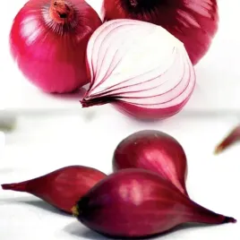 cebula-dymka-karmen-czerwona-1kg-najlepsza-jakosc-wiosenna-ekologiczna
