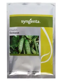 ogorek-octopus-nasiona-holenderskie-syngenta-500n