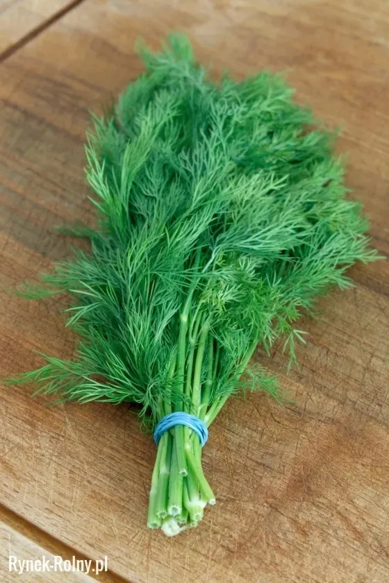 koper-ogrodowy-herkules-100g