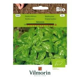 bazylia-genovese-bio-nasiona-ekologiczne-vilmorin