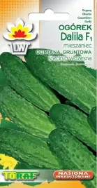 ogorek-dalila-srednio-wczesny-konserwowy-nasiona-ogorki-gruntowe