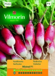 rzodkiewka-mistral-mieszaniec-f-do-uprawy-caly-rok