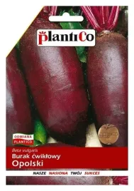 burak-opolski-podluzny-ciemno-czerwony-smaczny-plenny-nasiona-plantico-12g